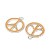 Alloy Enamel Pendants LS-ENAM-P066-1-2