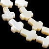 Natural Freshwater Shell Beads Strands BSHE-G034-26-4