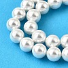 Rainbow Plated Shell Pearl Bead Strands BSHE-L025-02-10mm-3