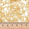 12/0 Glass Seed Beads SEED-A005-2mm-22-4