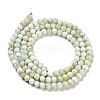 Natural Green Opal Beads Strands G-Z035-A02-02A-3