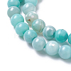 Natural Dyed Agate Imitation Turquoise Beads Strands X-G-P425-02A-8mm-3