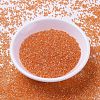 MIYUKI Delica Beads SEED-J020-DB1887-2