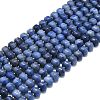 Natural Blue Aventurine Beads Strands G-P573-B10-01-2