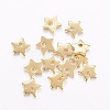 304 Stainless Steel Charms STAS-H443-11G-1