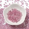 Glass Seed Beads SEED-H002-C-A041-2