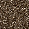 MIYUKI Round Rocailles Beads SEED-X0054-RR0311-3