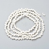 Natural Spiral Shell Beads Strands X-BSHE-I011-11C-2