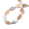 Natural Freshwater Shell Beads Strands SHEL-Q024B-017-2