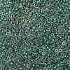 MIYUKI Round Rocailles Beads X-SEED-G008-RR0277-3