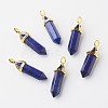 Natural Lapis Lazuli Double Terminated Pointed Pendants G-G902-B02-2