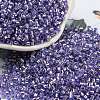 Glass Seed Beads SEED-S042-04A-08-1