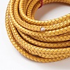 Braided Leather Cord with Core WL-F009-B12-6mm-2