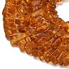 Natural Amber Beads Strands G-K376-C03-01-4