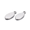 201 Stainless Steel Charms STAS-F221-24P-2
