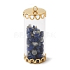 Glass Tube with Natural Lapis Lazuli Chip Beads Inside Pendants FIND-B054-01G-01-1