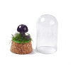 Natural Mixed Stone Mushroom Display Decoration with Glass Dome Cloche Cover G-E588-03-4