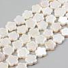 Electroplate Natural Freshwater Shell Beads Strands SHEL-T017-08-1