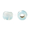 TOHO 11/0 Round Beads X-SEED-TR11-PF2118-4