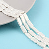 Electroplated Shell Pearl Beads Strands BSHE-C007-C01-01-2