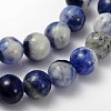 Natural Sodalite Beads Strand GSR6mmC013-2