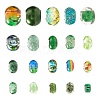80Pcs 20 Style Acrylic & Glass & Resin & Resin & 304 Stainless Steel European Beads DIY-LS0004-09-2