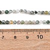 Natural Moss Agate Beads Strands G-Z116-A05-3mm-5