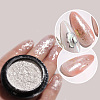 Nail Art Glitter Powder MRMJ-R066-04-1