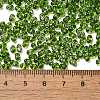 Spray Painted Glass Seed Beads SEED-F005-07A-02-4