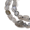 Natural Labradorite Nuggets Beads Strands X-G-J335-40-4