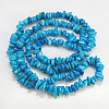 Natural Shell Beads Strands BSHE-D002-04-2