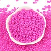 Baking Paint Glass Seed Beads SEED-L011-09A-13-2
