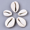 Natural Cowrie Shell Beads LS-X-SSHEL-N034-34-2