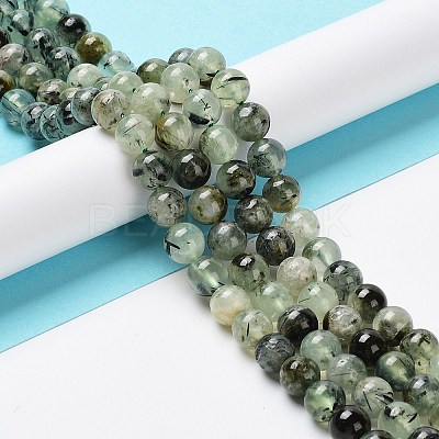 Natural Prehnite Beads Strands G-P322-48-8mm-01-1