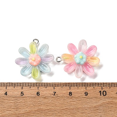 Transparent Resin Pendants RESI-A046-05C-1