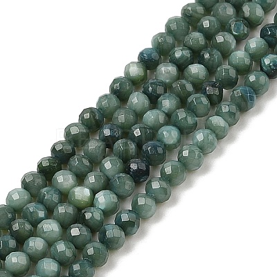 Natural Freshwater Shell Dyed Beads Strands SHEL-R100-12A-05-1