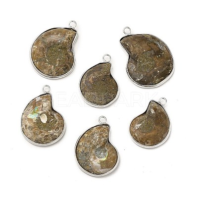 Natural Conch Fossil Pendants BSHE-E025-02P-1