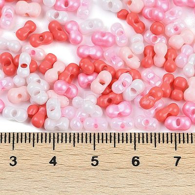 Glass Seed Beads SEED-K010-03P-1