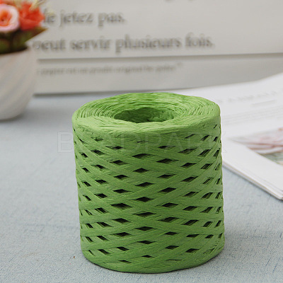 Raffia Ribbon SENE-PW0003-104I-1
