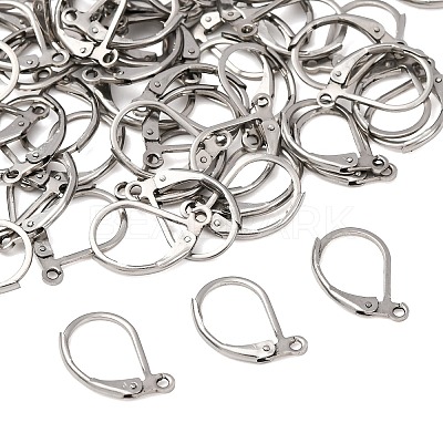 Tarnish Resistant 316L Surgical Stainless Steel Leverback Earring Findings STAS-E194-03P-1