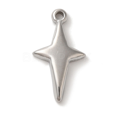 304 Stainless Steel Pendants STAS-C110-02P-1