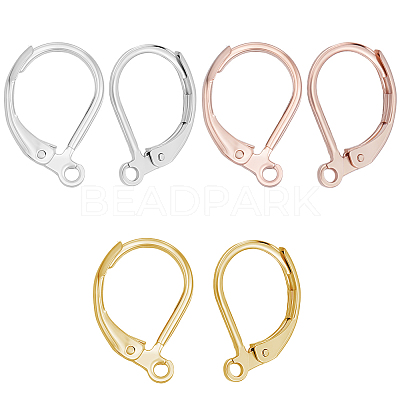 60Pcs 3 Styles 304 Stainless Steel Leverback Earring Findings STAS-BBC0008-30E-1