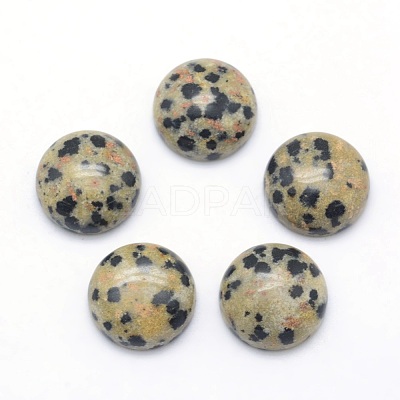 Natural Dalmatian Jasper Cabochons G-P393-R33-10MM-1