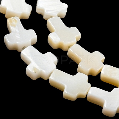 Natural Freshwater Shell Beads Strands BSHE-G034-26-1