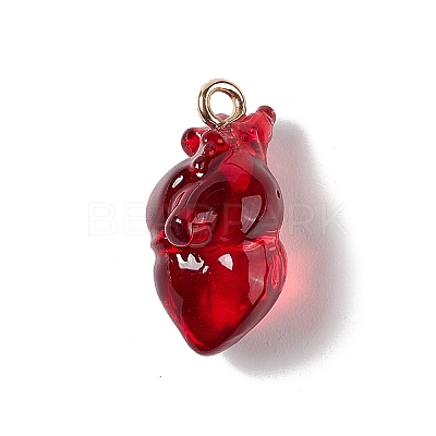 Transparent Resin Pendants LS-RESI-E028-01G-01-1