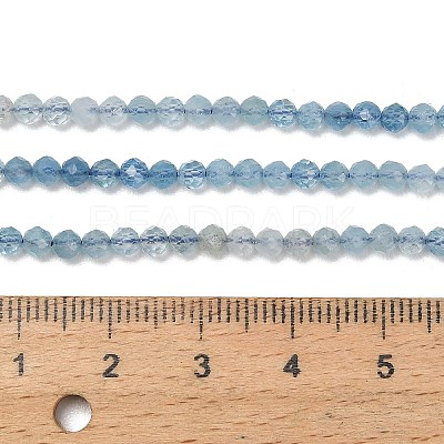 Gradient Color Natural Devil Blue Aquamarine Beads Strands G-NH0072-B01-3mm-1