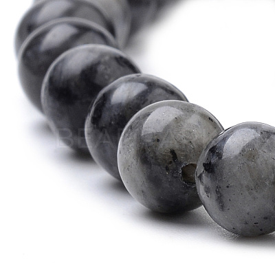 Natural Larvikite Beads Strands G-S259-06-6mm-1