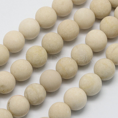 Natural Fossil Beads Strands G-D694-8mm-1