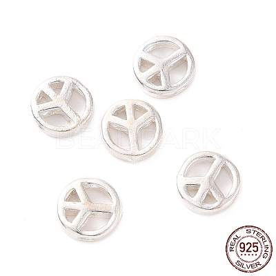 925 Sterling Silver Beads STER-A010-165-1