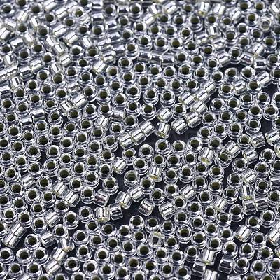 MIYUKI Delica Beads SEED-X0054-DB0041-1